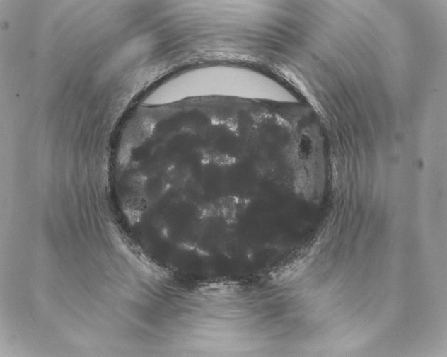 X0000088590447200706151740