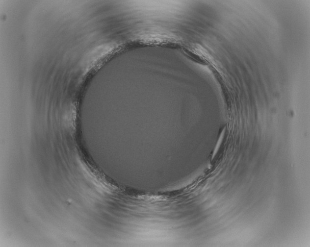 X0000088590448200706151740