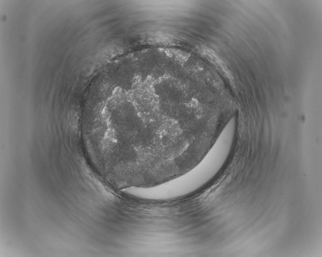 X0000088590449200706151740