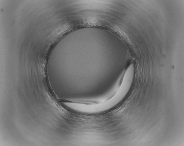 X0000088590450200706151740