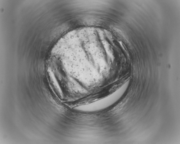 X0000088590453200706151740