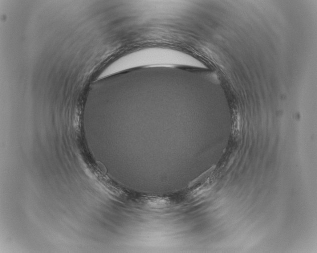 X0000088590456200706151740