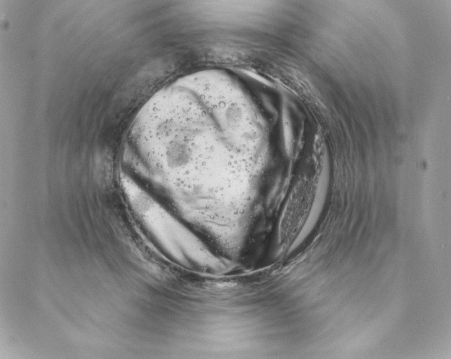 X0000088590457200706151740