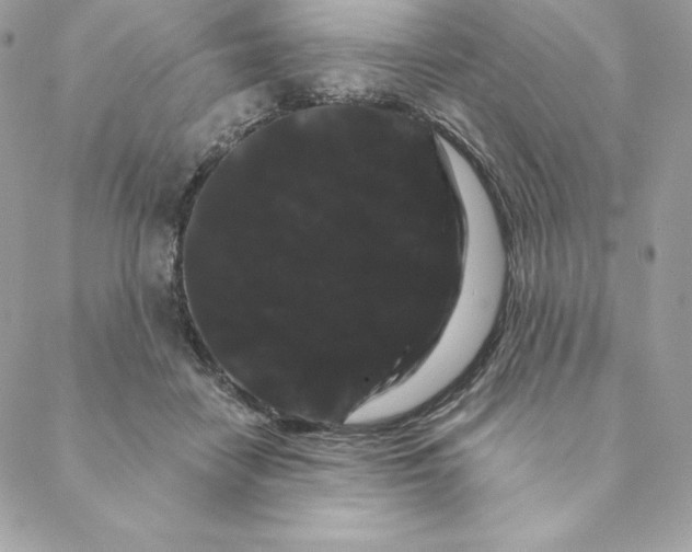 X0000088590458200706151740