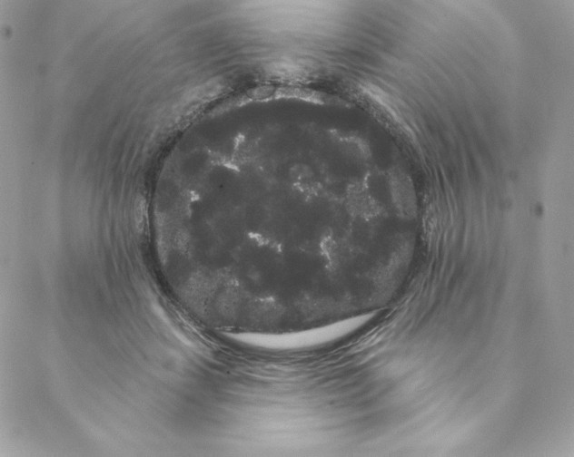 X0000088590459200706151741