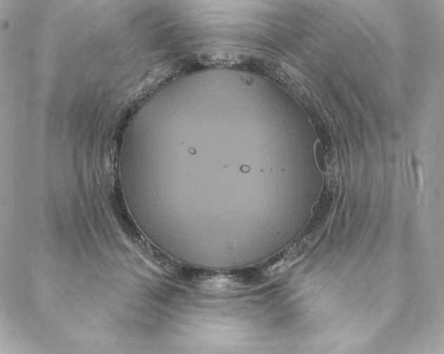 X0000088590460200706151741