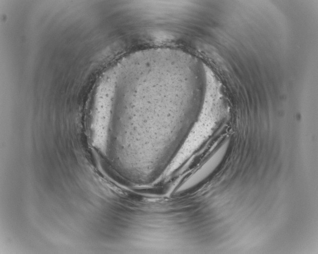 X0000088590461200706151741