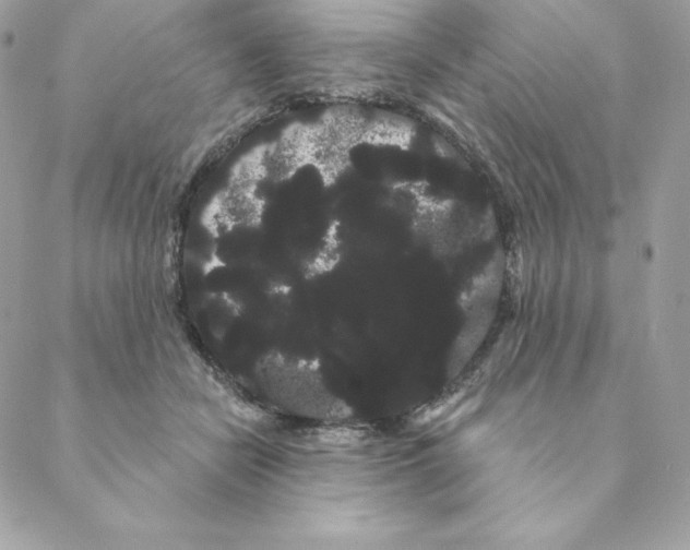 X0000088590462200706151741