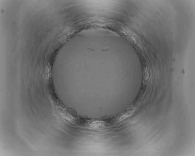 X0000088590463200706151741