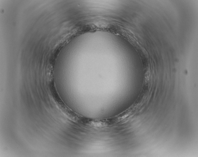 X0000088590464200706151741