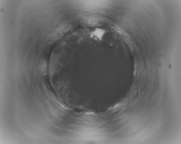 X0000088590465200706151741