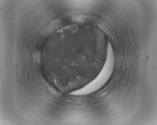 X0000088590466200706151741