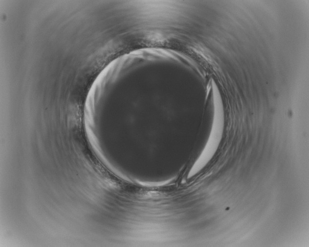 X0000088590467200706151741