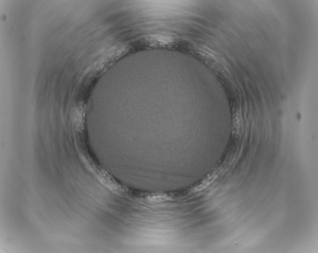 X0000088590468200706151741