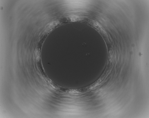 X0000088590471200706151741