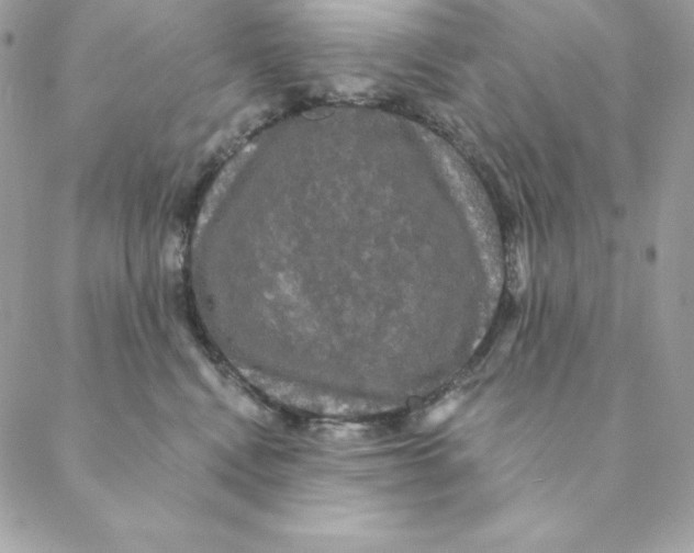 X0000088590472200706151741