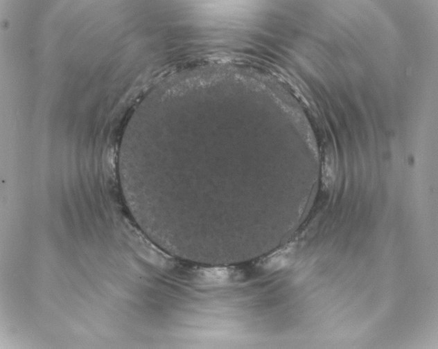 X0000088590473200706151741