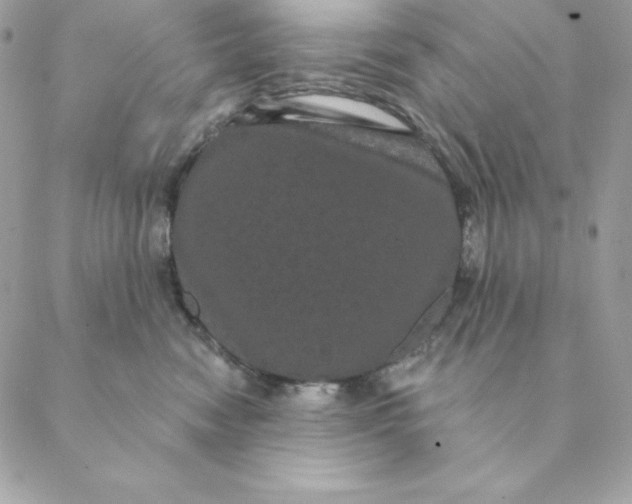 X0000088590474200706151741