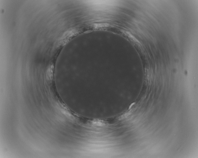 X0000088590475200706151741