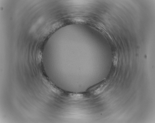 X0000088590476200706151741