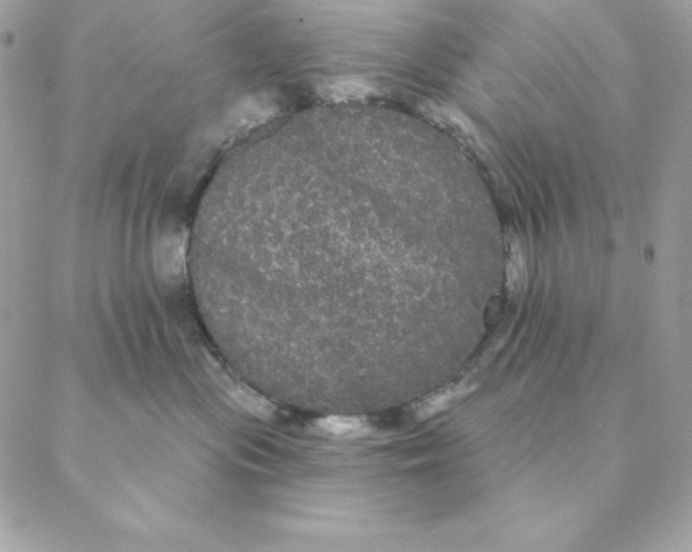 X0000088590477200706151741