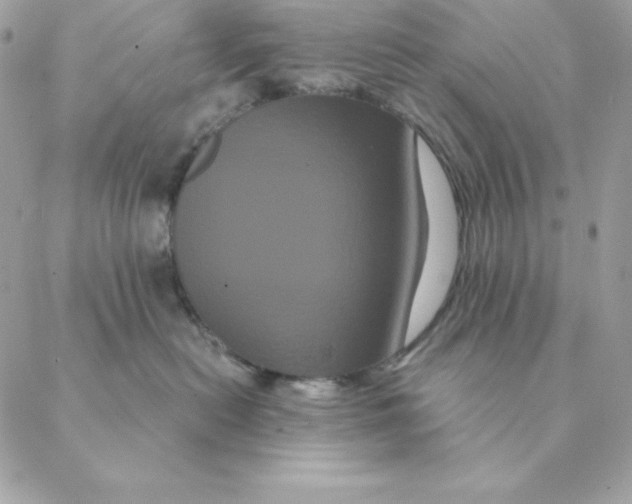 X0000088590478200706151741