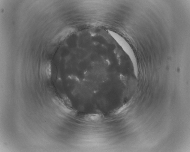 X0000088590479200706151741