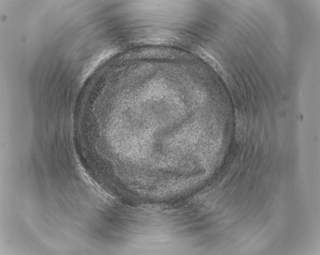 X0000088590482200706151740