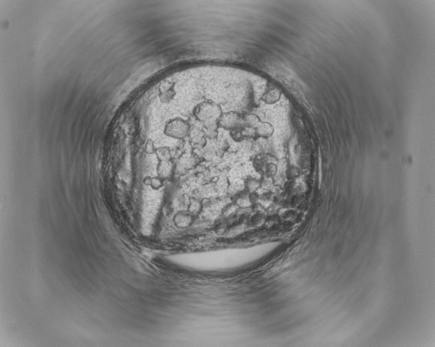 X0000088590483200706151740