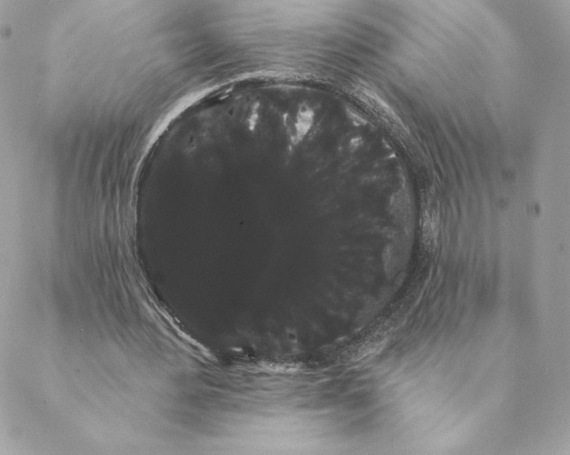 X0000088590484200706151740