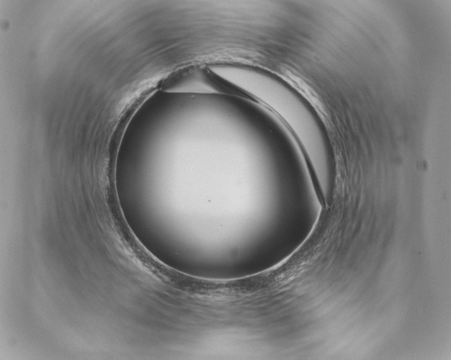 X0000088590485200706151740