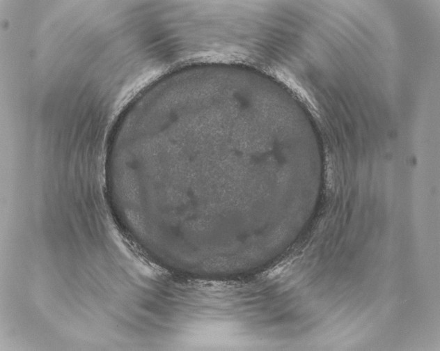 X0000088590486200706151740