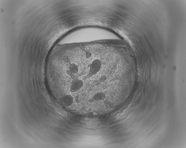 X0000088590487200706151740