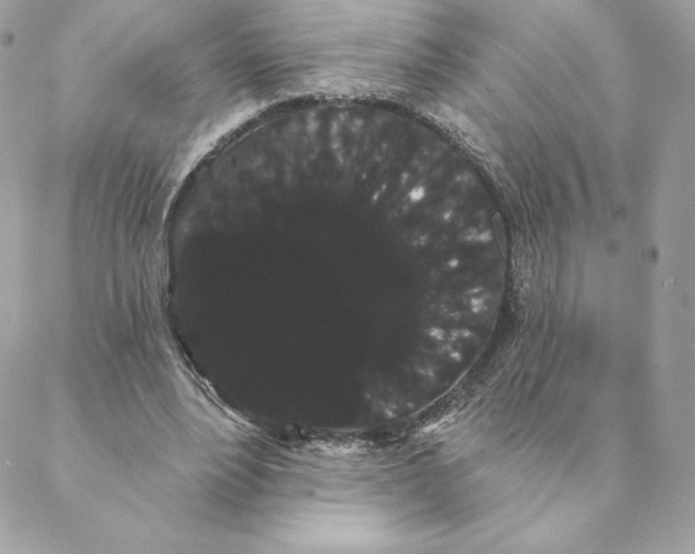 X0000088590488200706151740