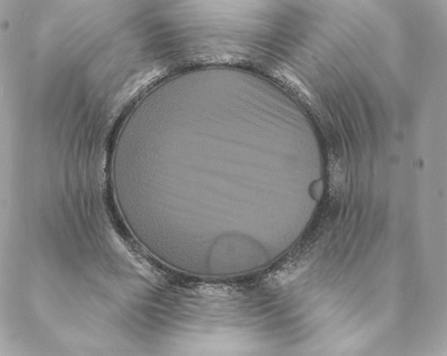 X0000088590490200706151740