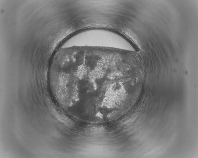 X0000088590491200706151740