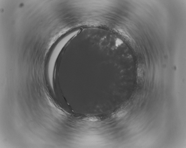 X0000088590492200706151740