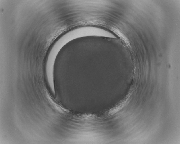 X0000088590493200706151740