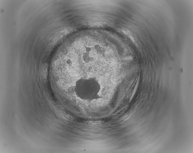 X0000088590495200706151740