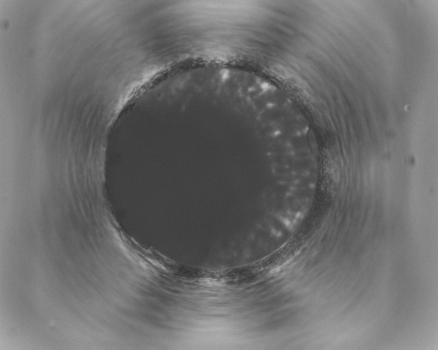 X0000088590496200706151740