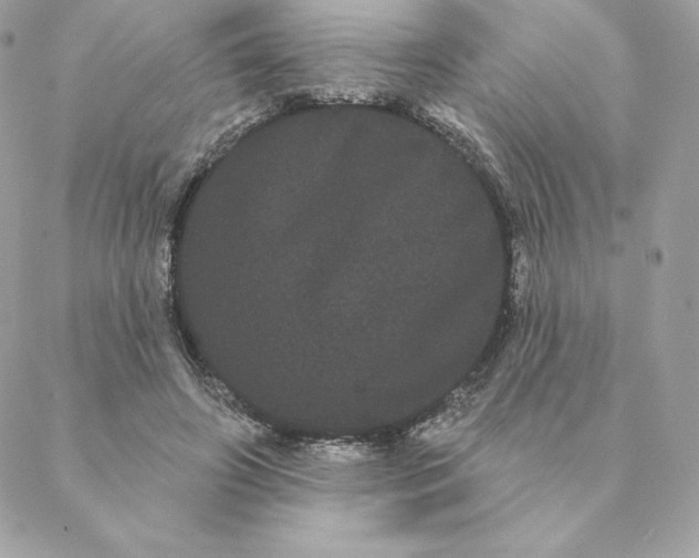 X0000088590498200706151740