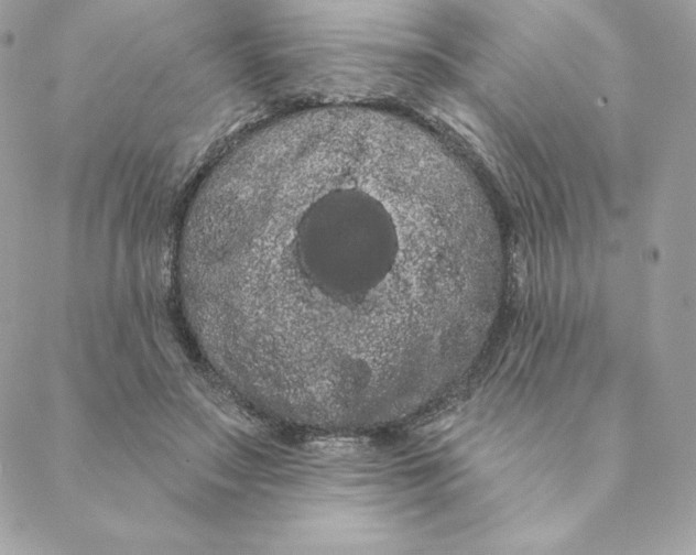 X0000088590499200706151740