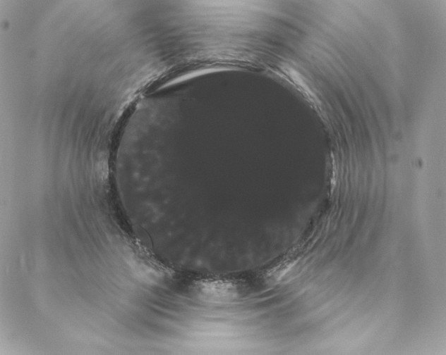 X0000088590500200706151740