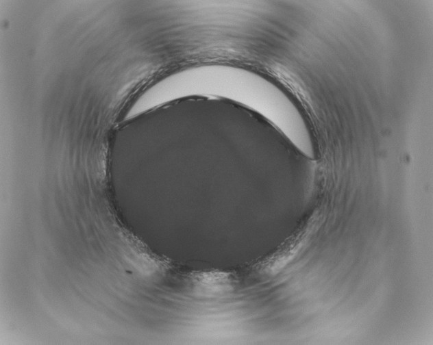 X0000088590501200706151740