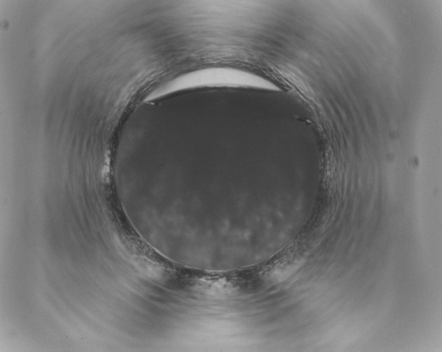 X0000088590502200706151740