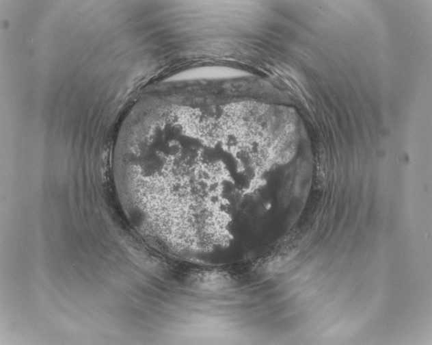 X0000088590503200706151740