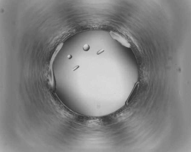 X0000088590505200706151740