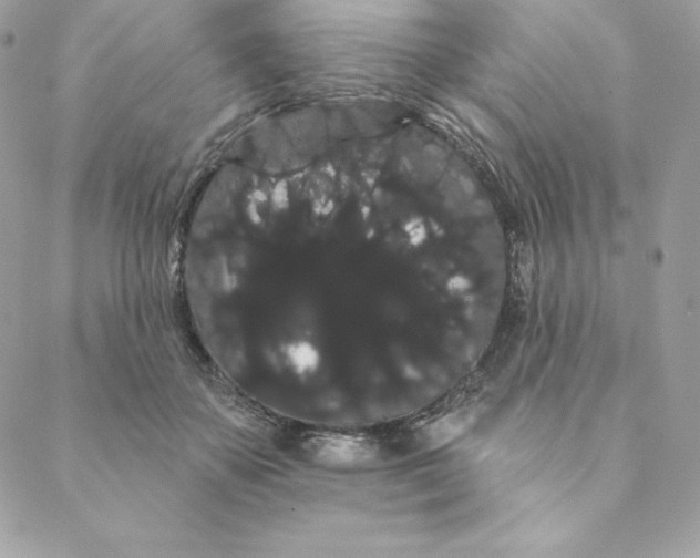 X0000088590507200706151740