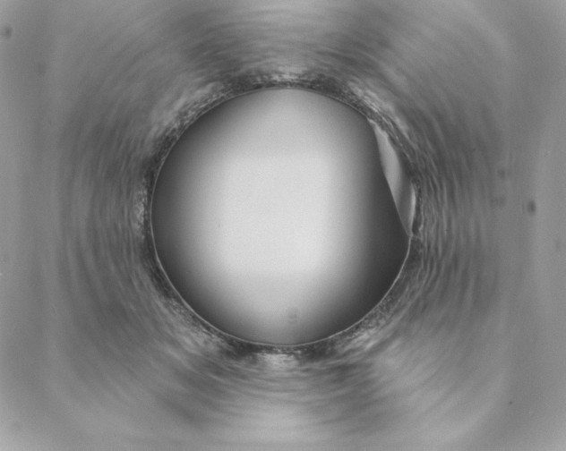 X0000088590509200706151740