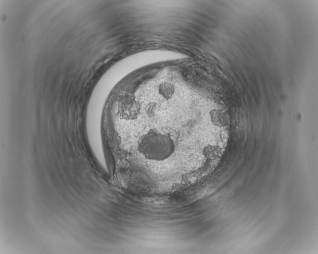 X0000088590511200706151740